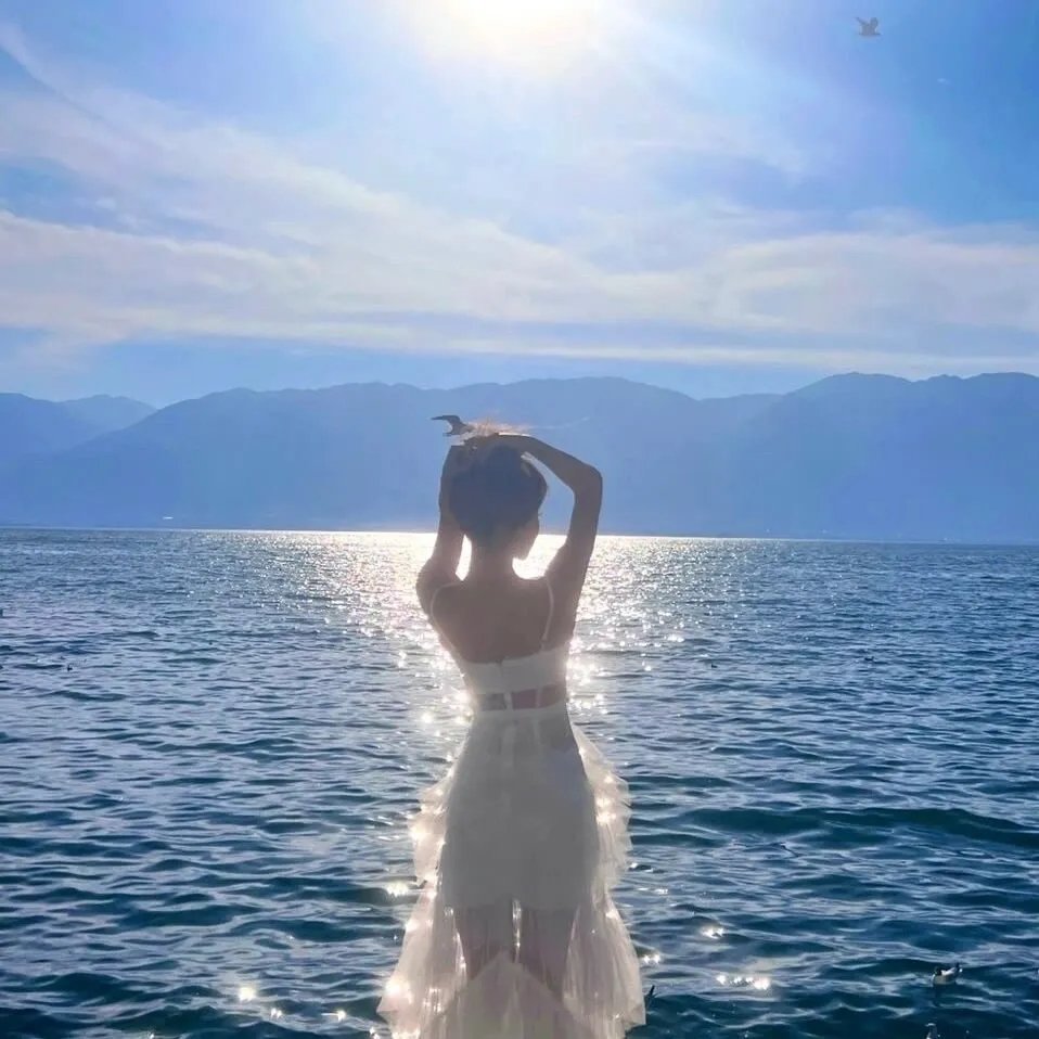 机Boy小子之真假威龙